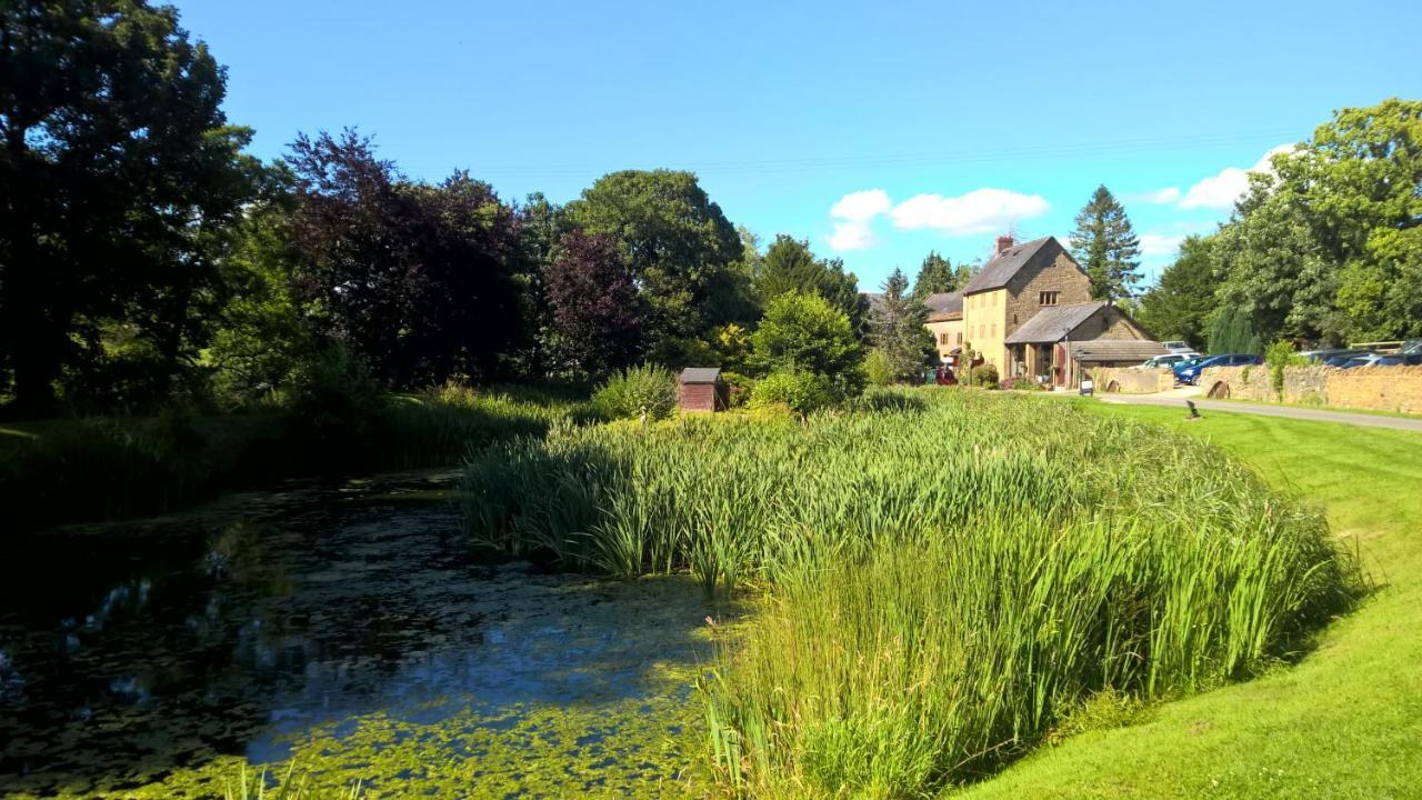 Haselbury Mill Hotel Crewkerne Bagian luar foto